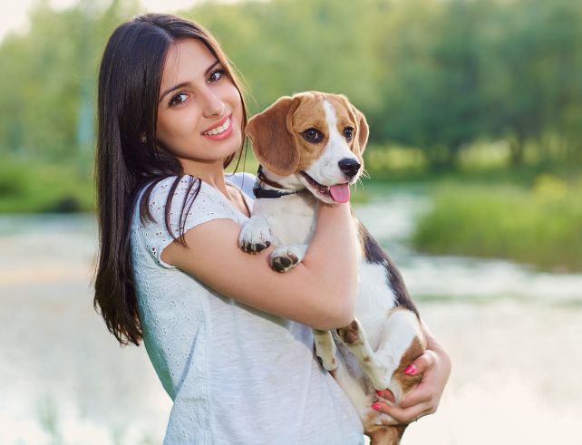 Happy and healthy dog at home, showcasing successful application of dog healthcare tips from Let's Have Pet blog.