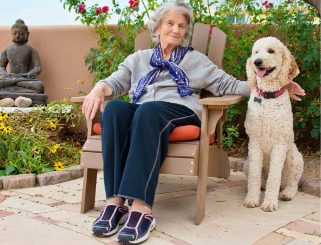 A caring individual and a therapy dog engaged in a bonding session, symbolizing the emotional support and companionship in animal-assisted therapy.