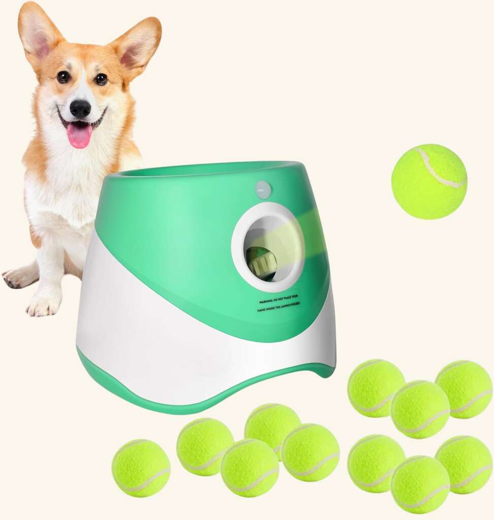 Automatic Dog Ball Launchers - Top 5 Picks for Effortless Fetch